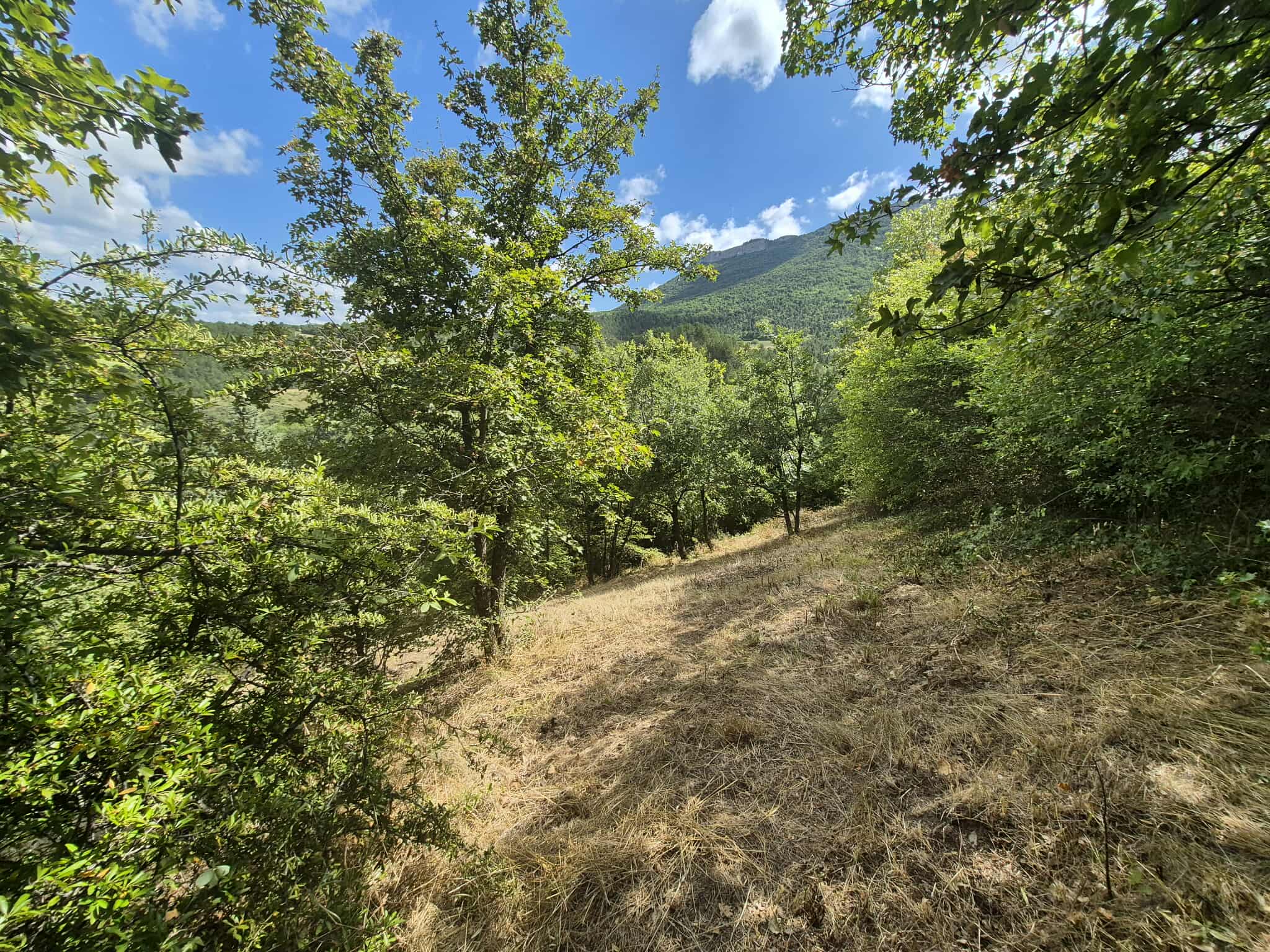 Maisons 4 pièces - image 8
