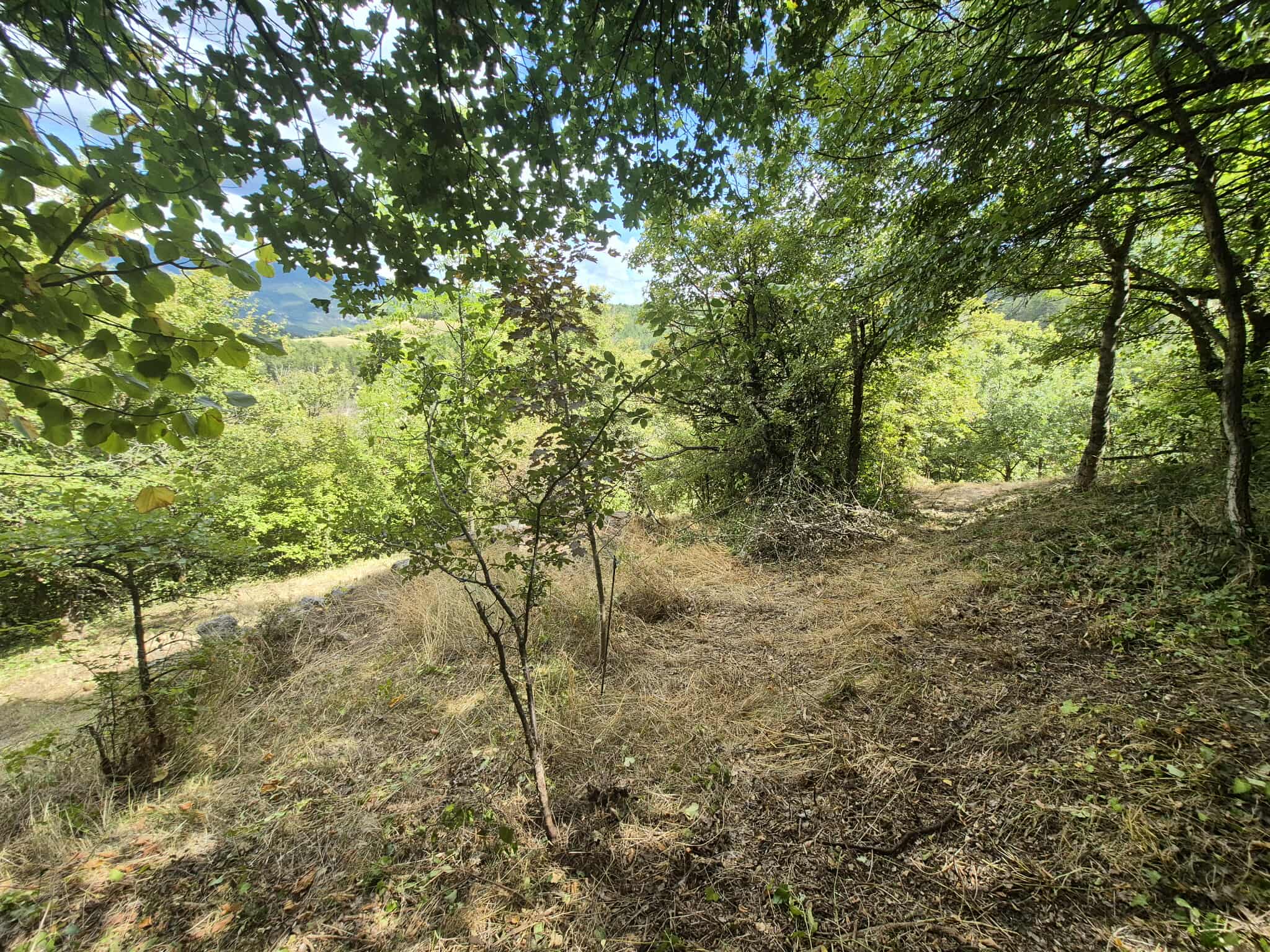 Maisons 4 pièces - image 7