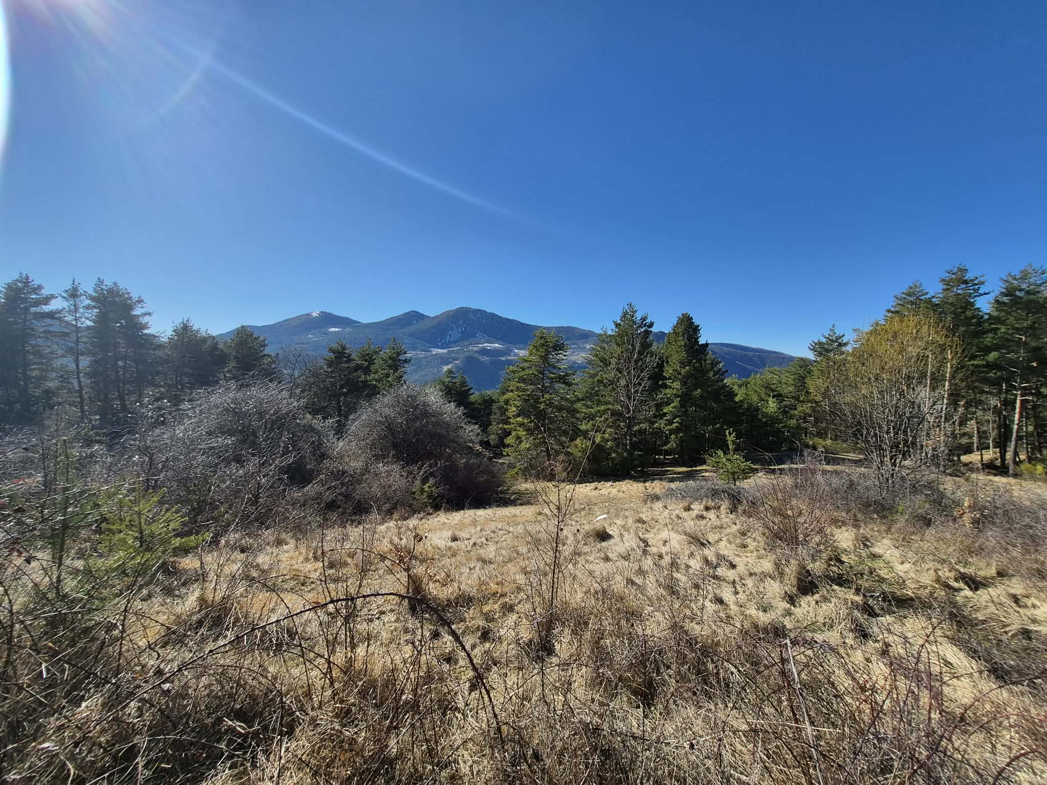 Propriété 0 pièces - image 13