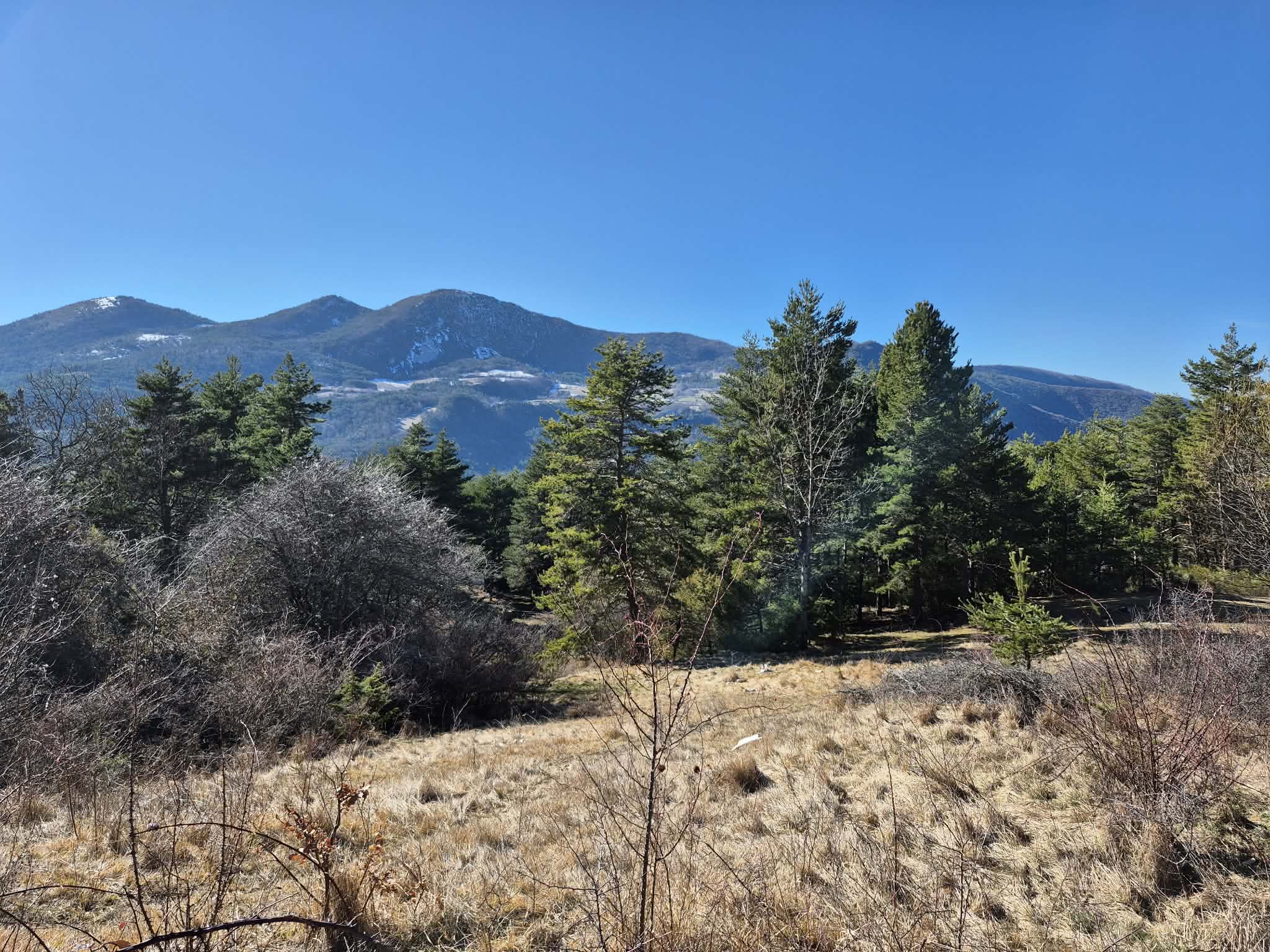 Propriété 0 pièces - image 14