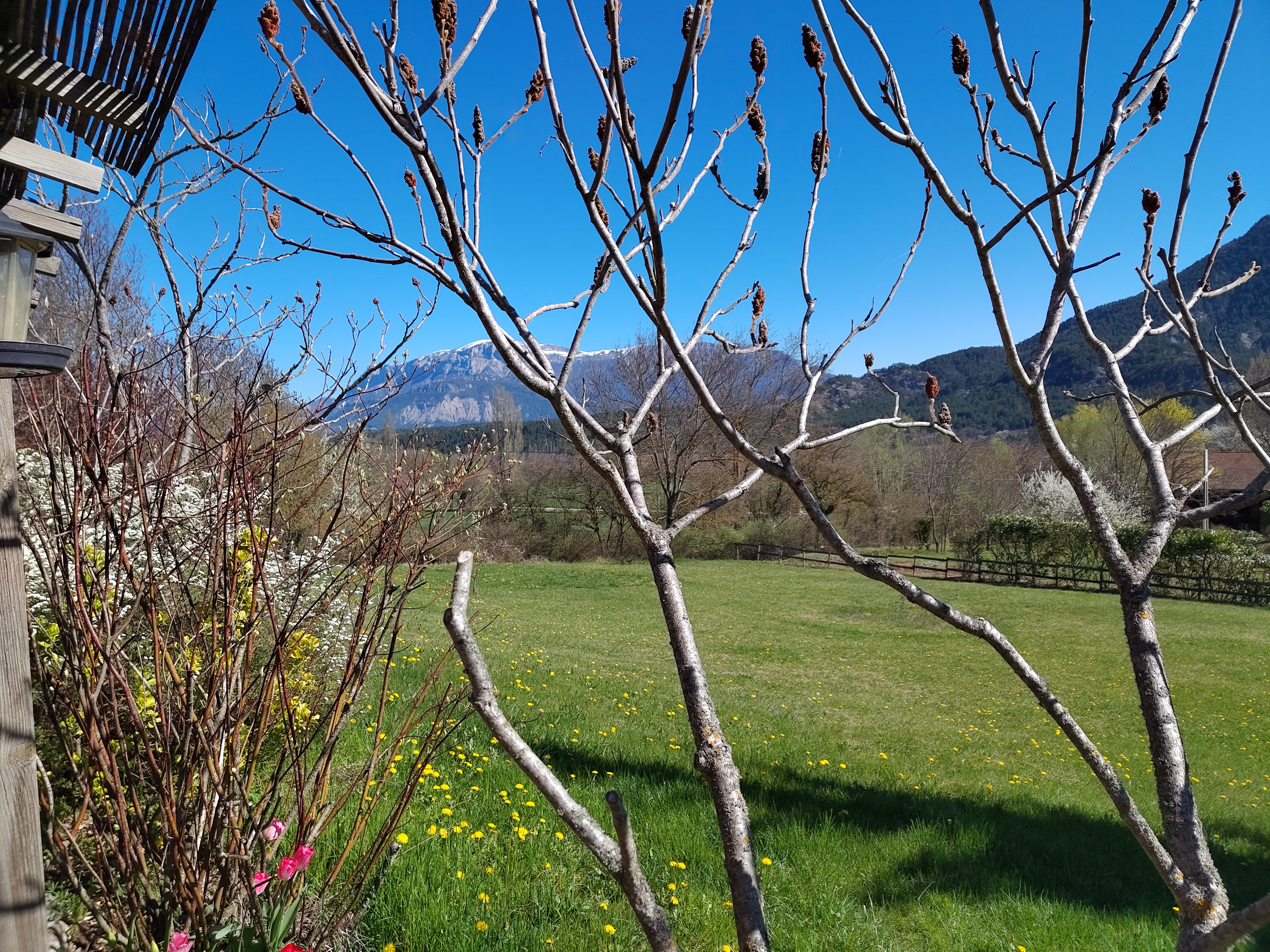 5 pièces - image 15