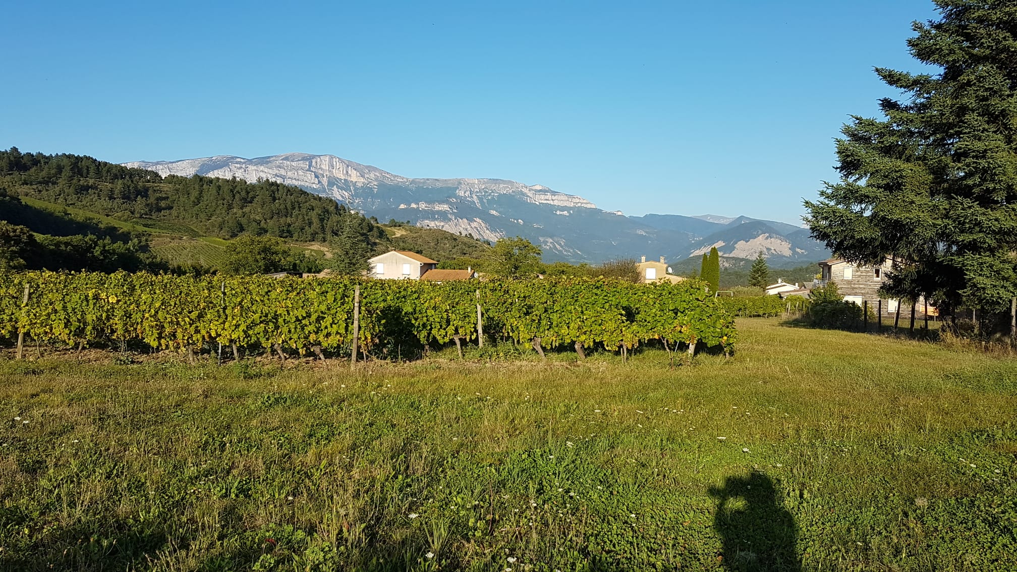 Maisons 5 pièces à Barnave - image 3