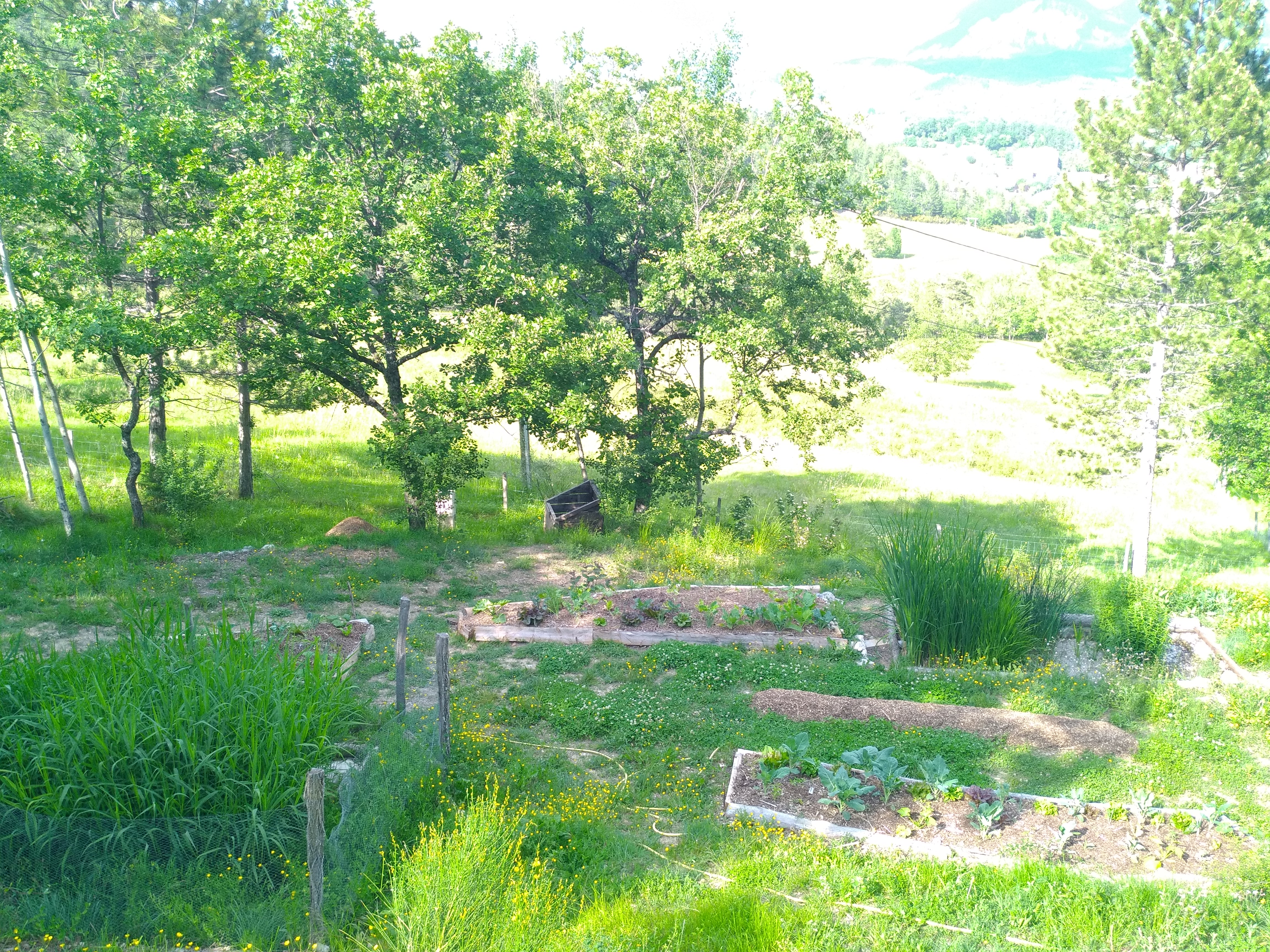 Maisons 2 pièces à Recoubeau-Jansac - image 3