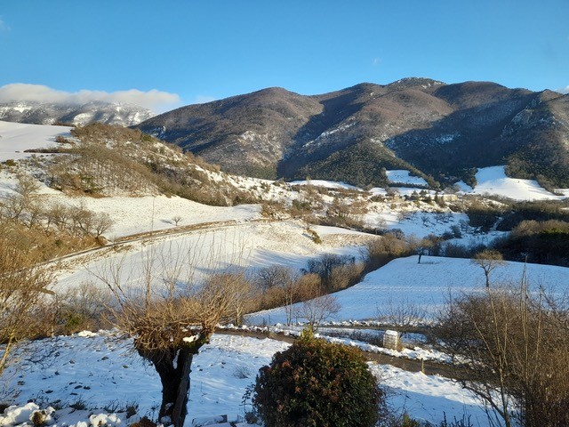 Propriété 6 pièces - image 11