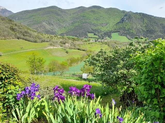 Propriété 6 pièces - image 12
