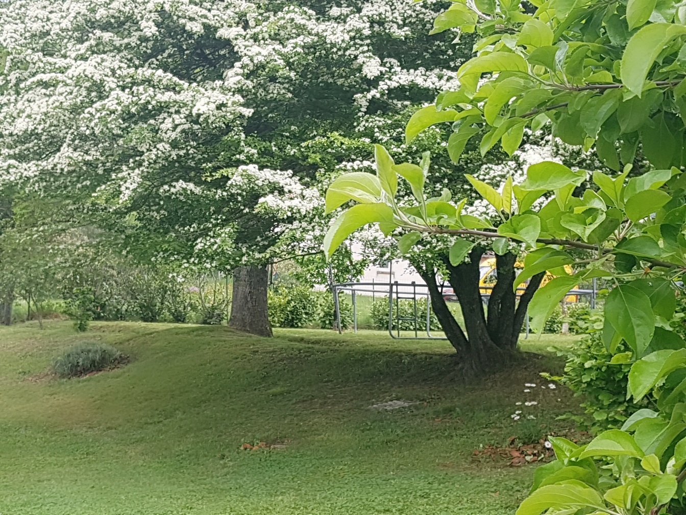 Maisons 6 pièces - image 10