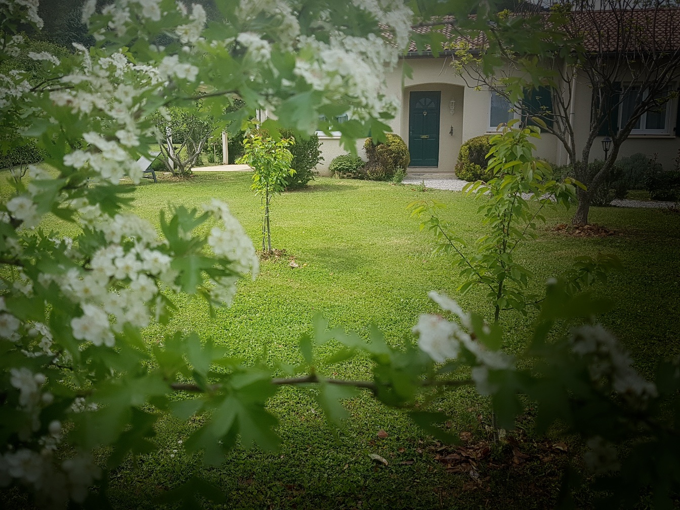 Maisons 6 pièces - image 12