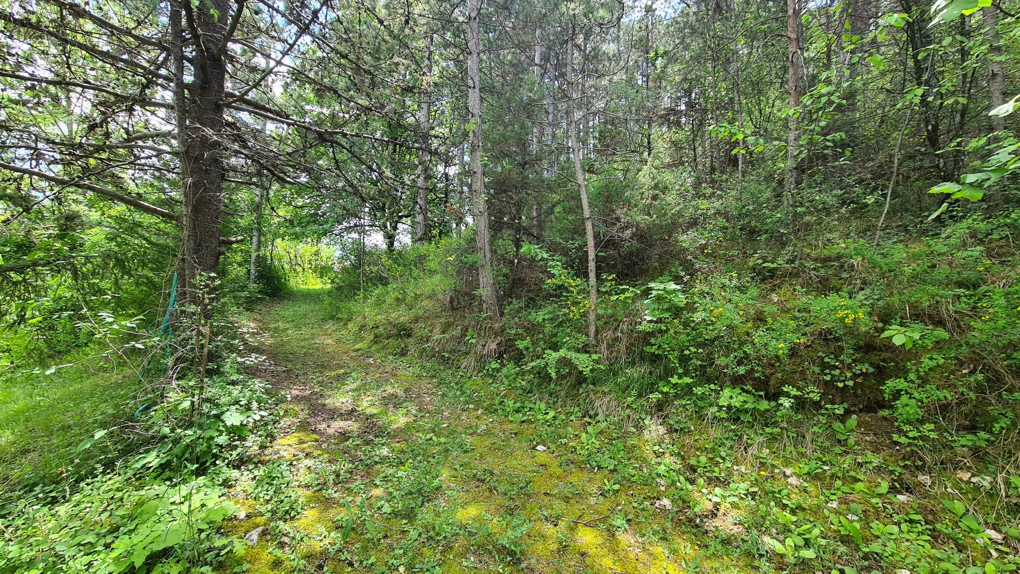 Maisons 5 pièces - image 8