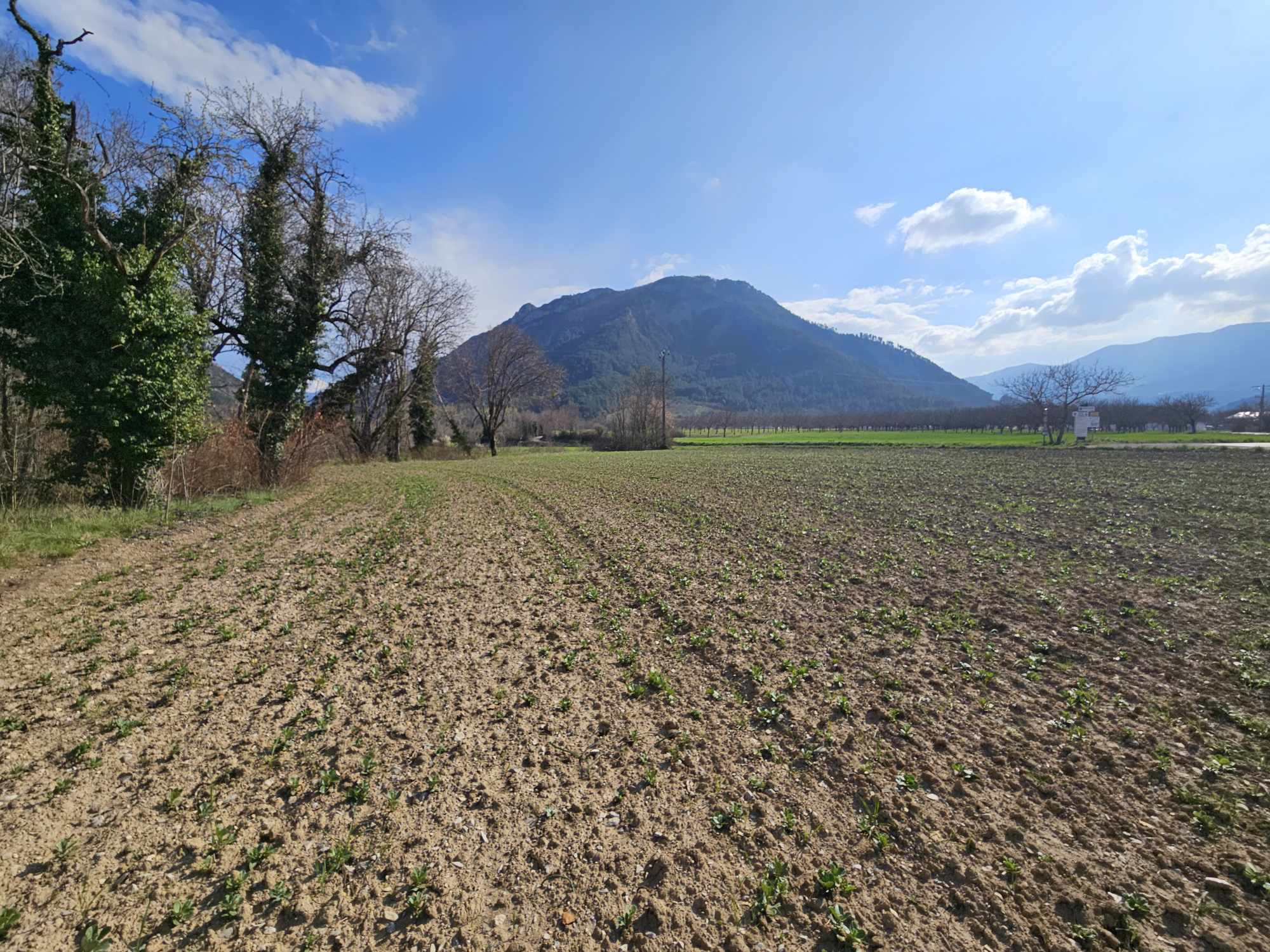 Autres 3 pièces - image 6