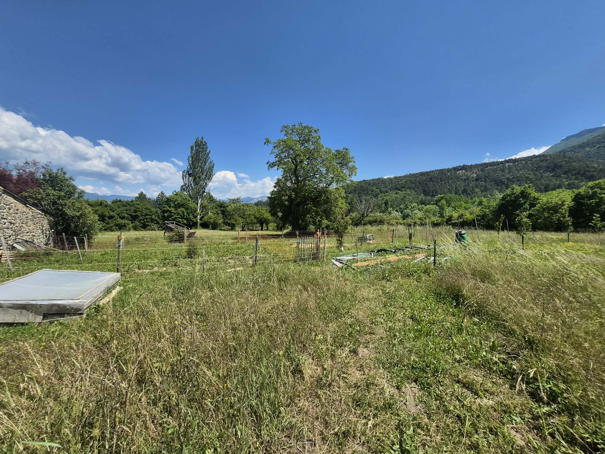 Autres 0 pièces - image 6